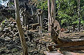 Angkor - Beng Mealea, naga balustrade